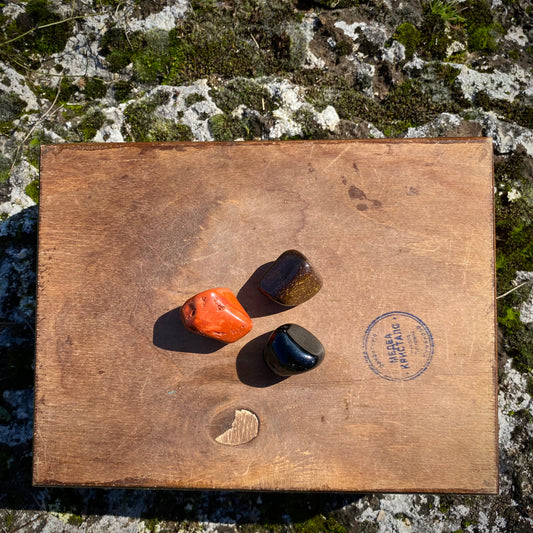 Сет за Заштита и Приземност