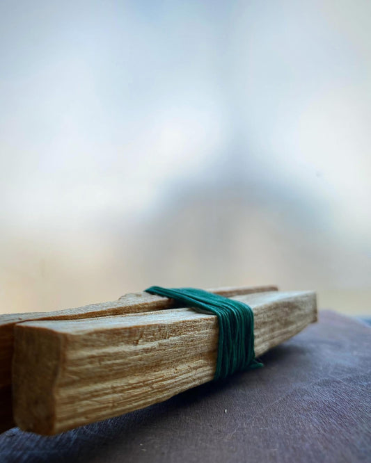 Palo Santo (едно дрвце)